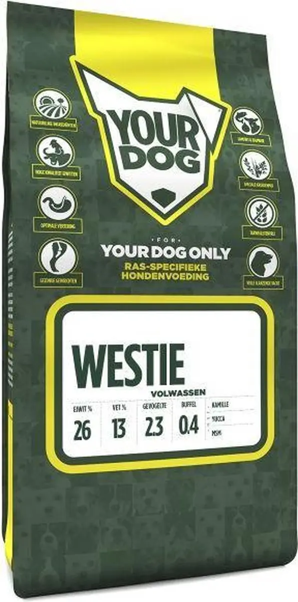 Yourdog Westie Volwassen