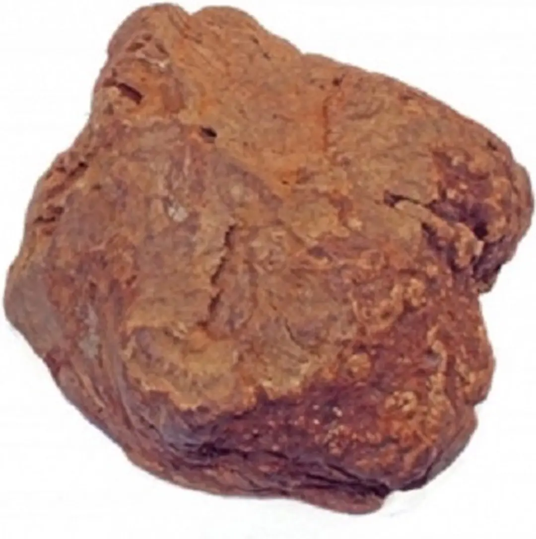 Olijfboom kauwwortel- 180-250 gram- S-hondensnacks-Animal King