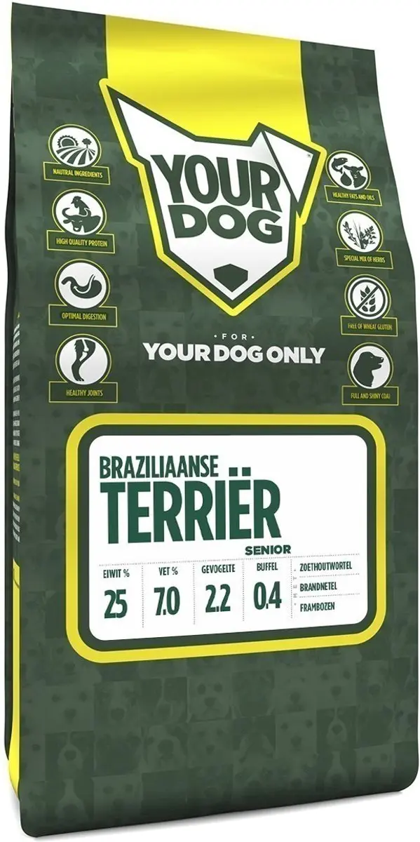 Yourdog braziliaanse terriër senior