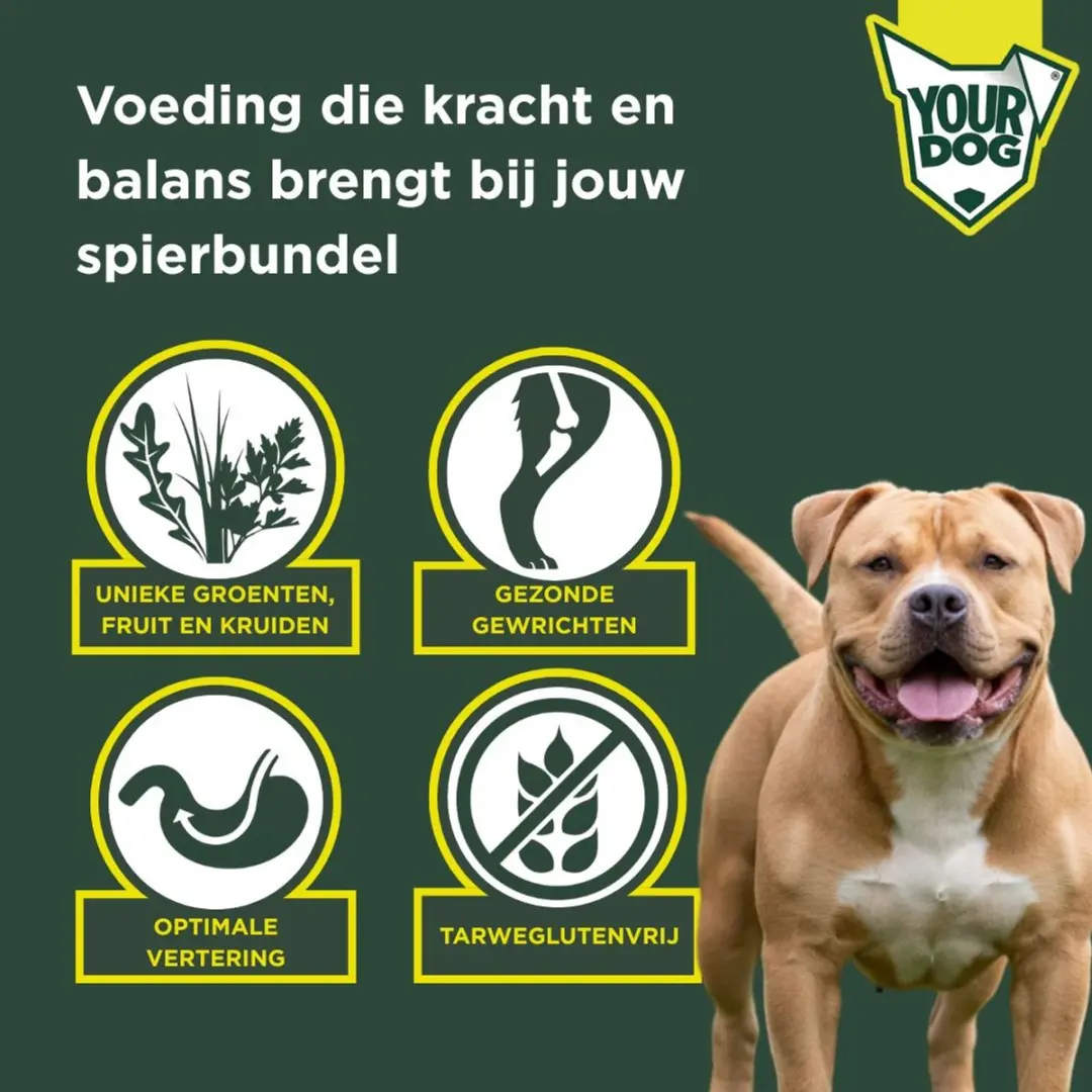 Yourdog Bully XL Senior Hondenbrokken - 12 kg - afbeelding 2 van 4