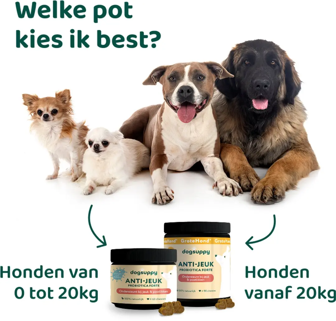 DogSuppy Anti-Jeuk Probiotica Snoepjes - 60 stuks - afbeelding 5 van 6