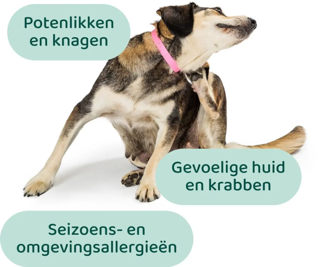 DogSuppy Anti Jeuk Probiotica met Rund - 60 stuks - afbeelding 3 van 6