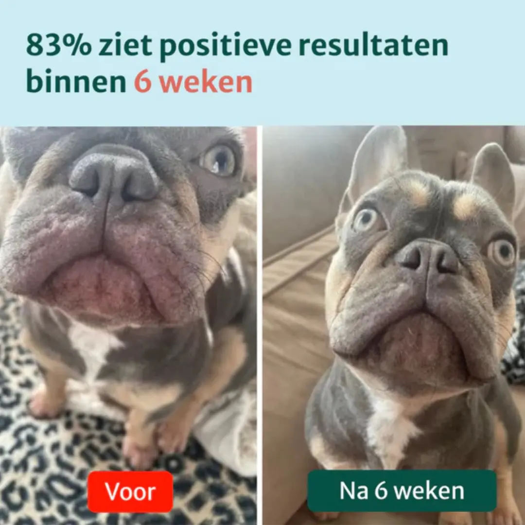 DogSuppy Anti Jeuk Probiotica met Rund - 60 stuks - afbeelding 5 van 6
