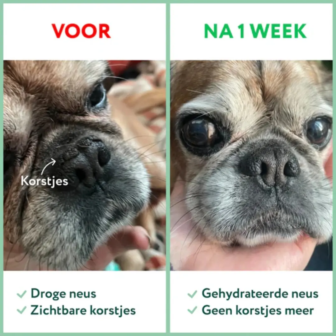 DogSuppy Neus- en Pootbalsem Hond 125ml - afbeelding 3 van 6