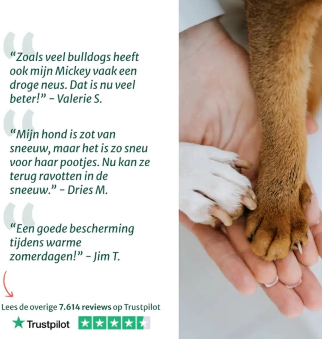 DogSuppy Neus- en Pootbalsem Hond 125ml - afbeelding 6 van 6
