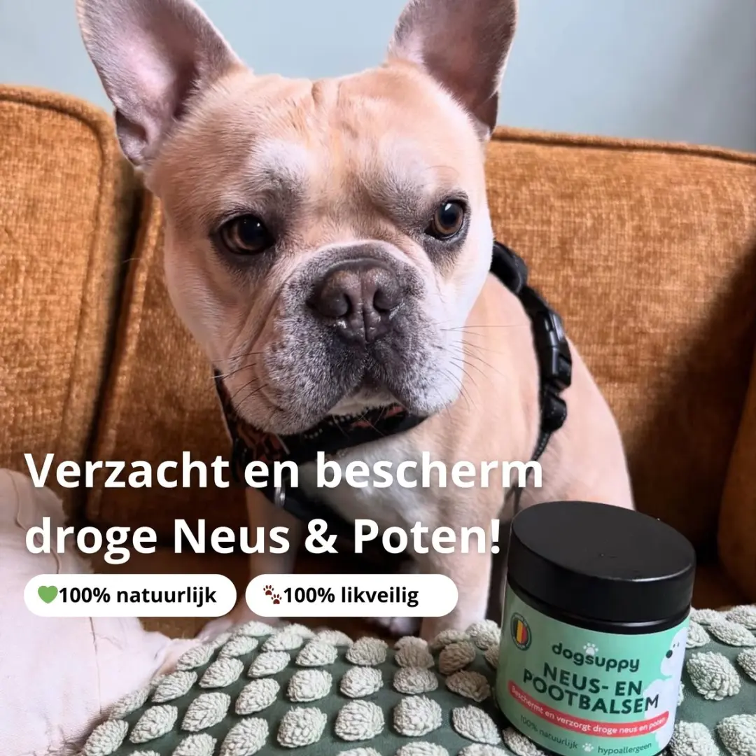 DogSuppy Neus- en Pootbalsem Hond 125ml - afbeelding 2 van 6