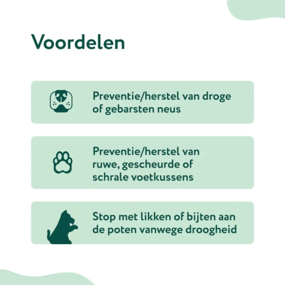 DogSuppy Neus- en Pootbalsem Hond 125ml - afbeelding 5 van 6