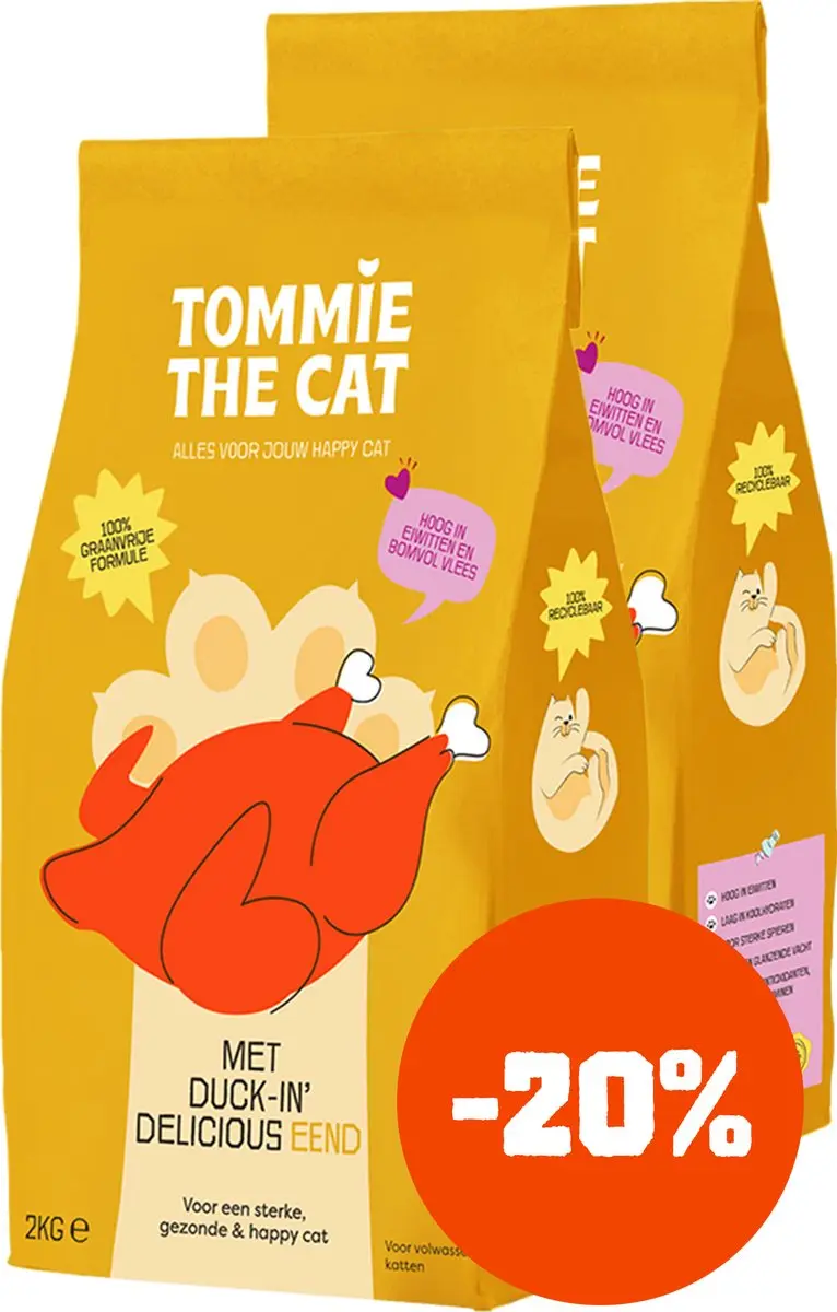 Tommie the Cat