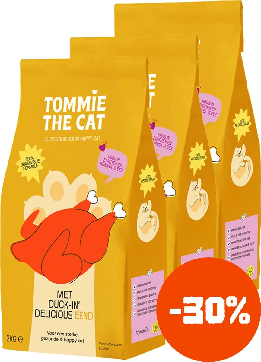 Tommie the Cat