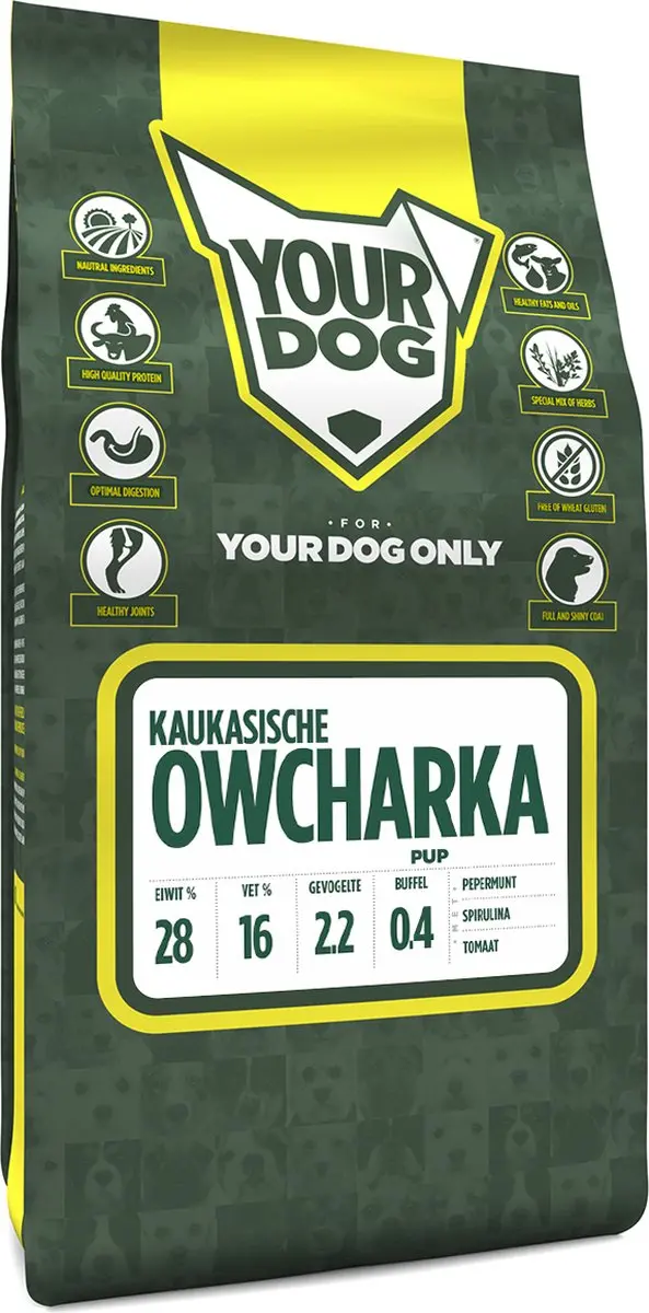Yourdog Kaukasische owcharka