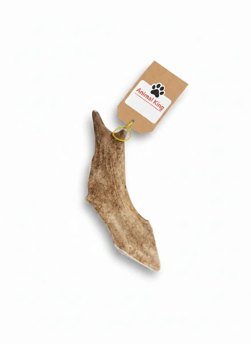 Damhert Gewei voor Hond