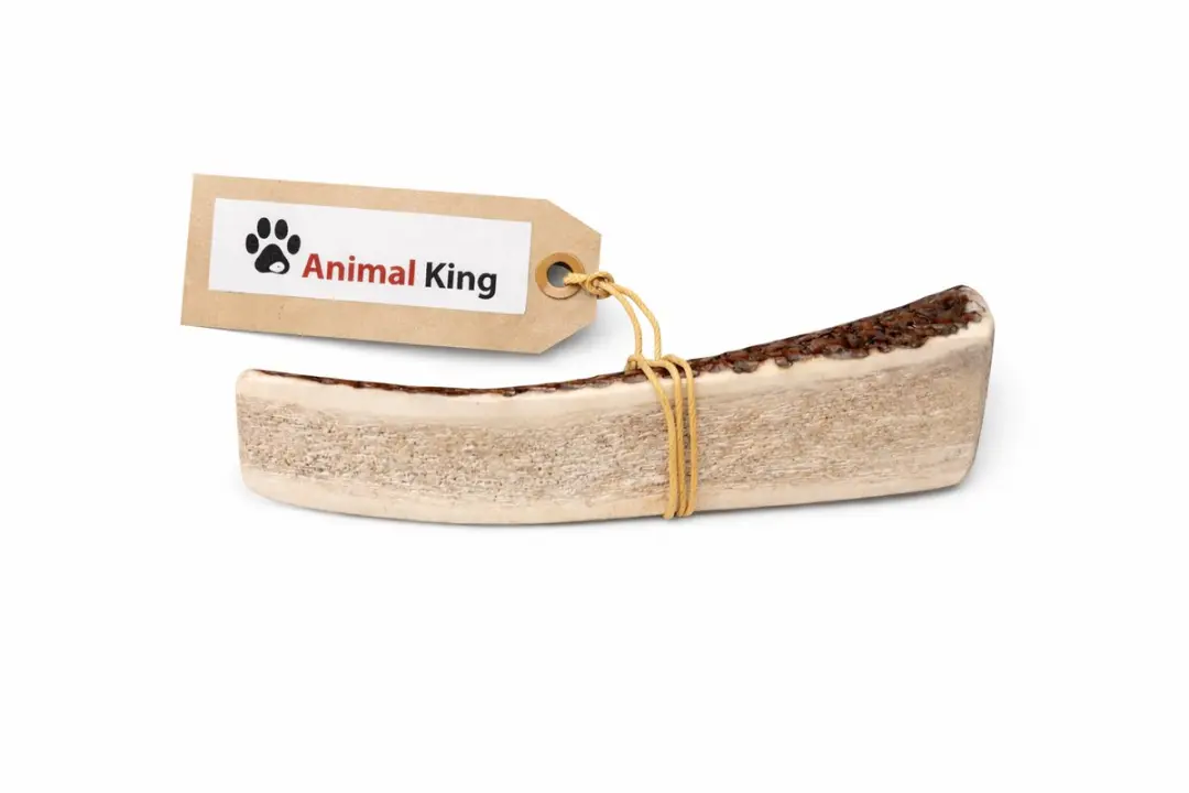Hertengewei Easy voor Hond