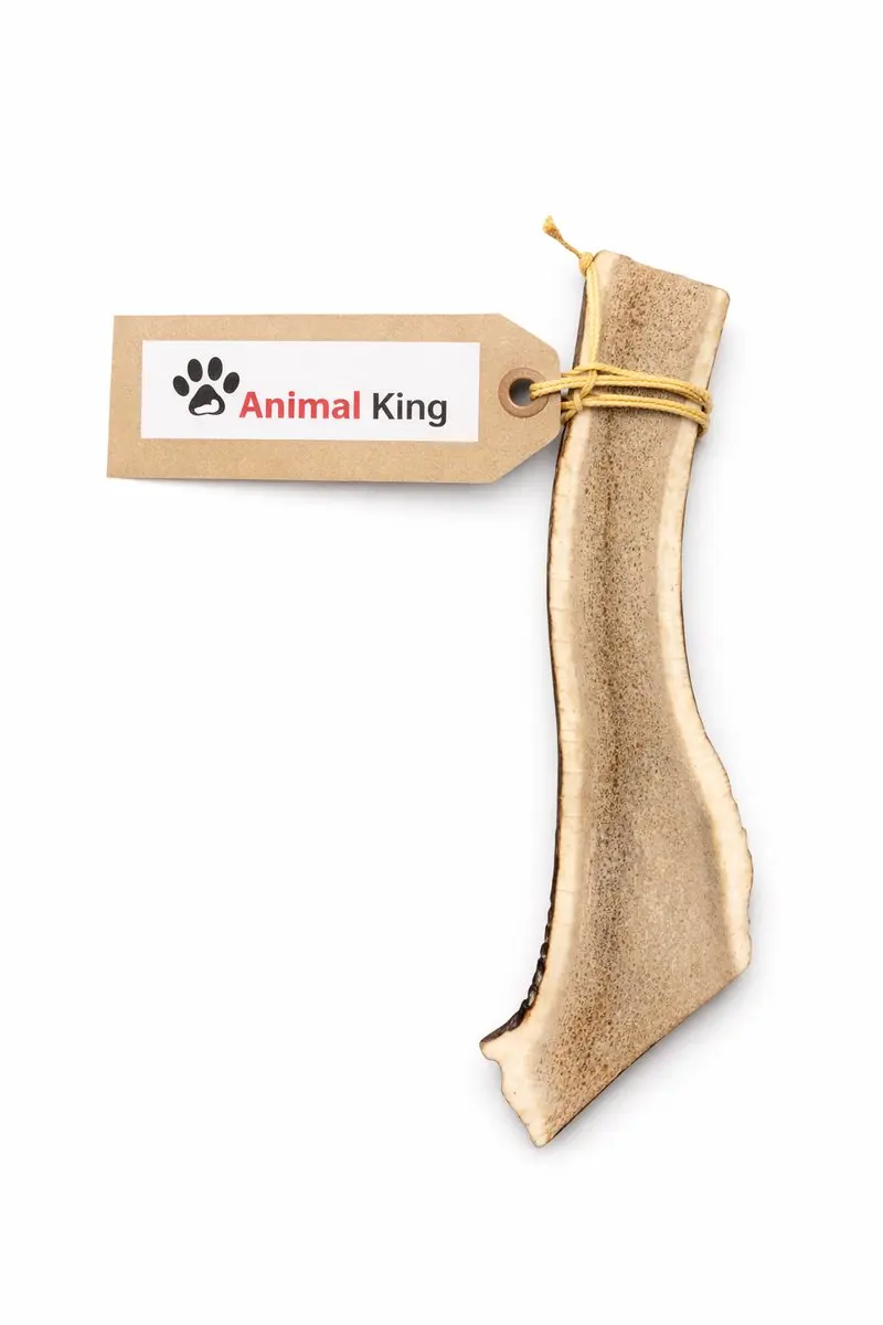 Hertengewei Easy voor Hond