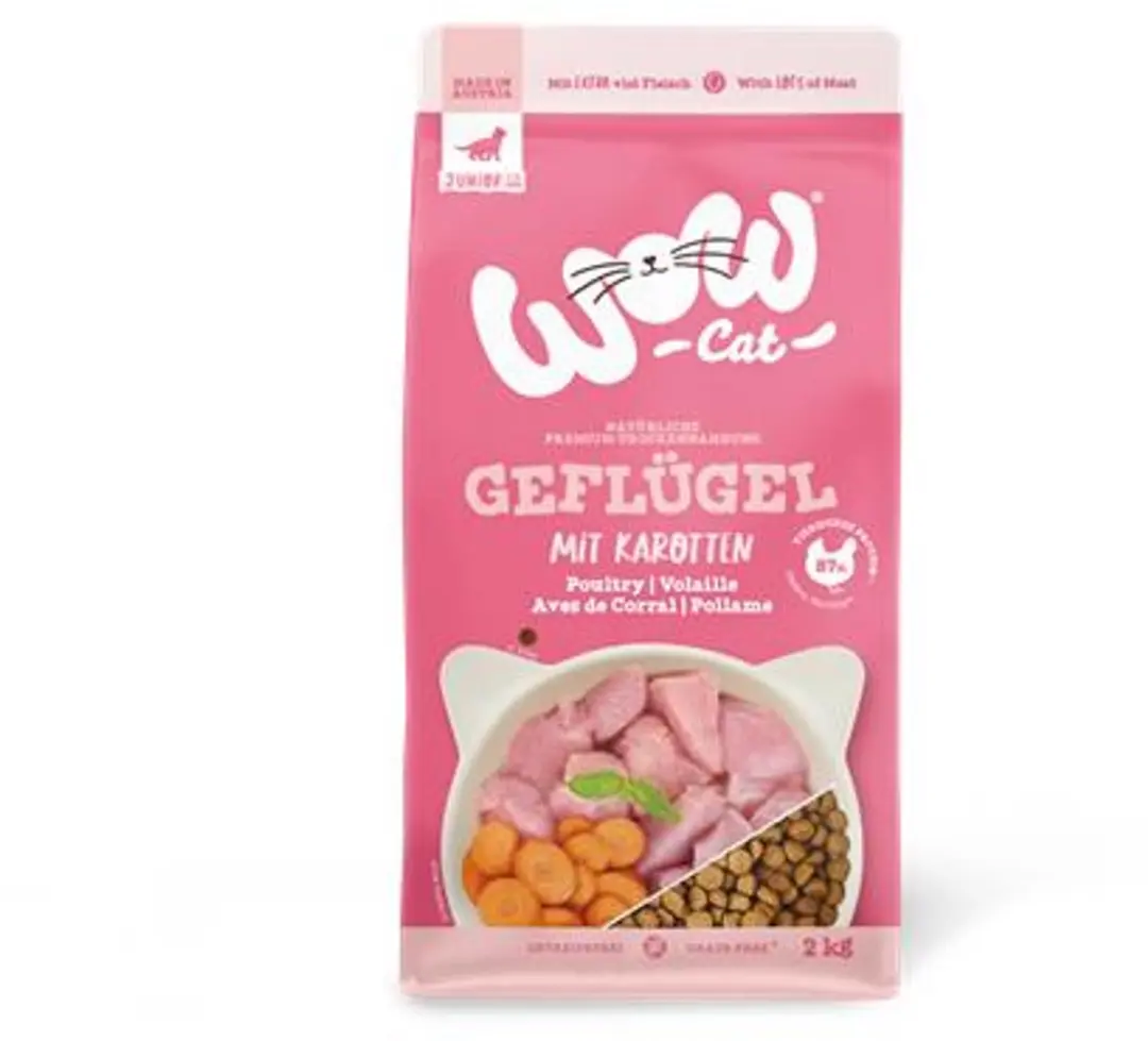 WOW Cat