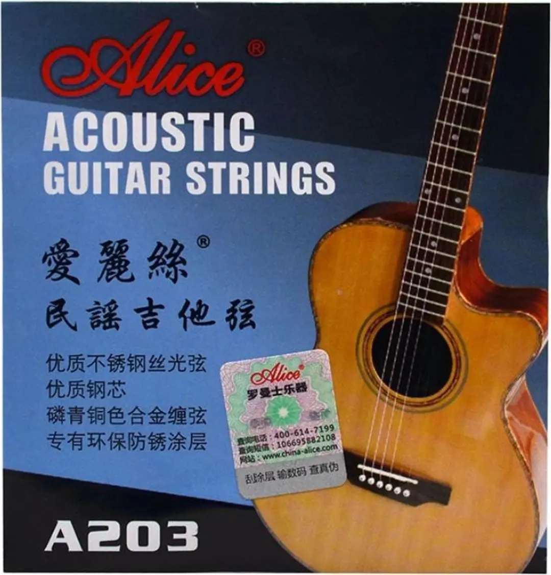 Akoestische gitaar snaren set (6 stuks/EBGDAE)