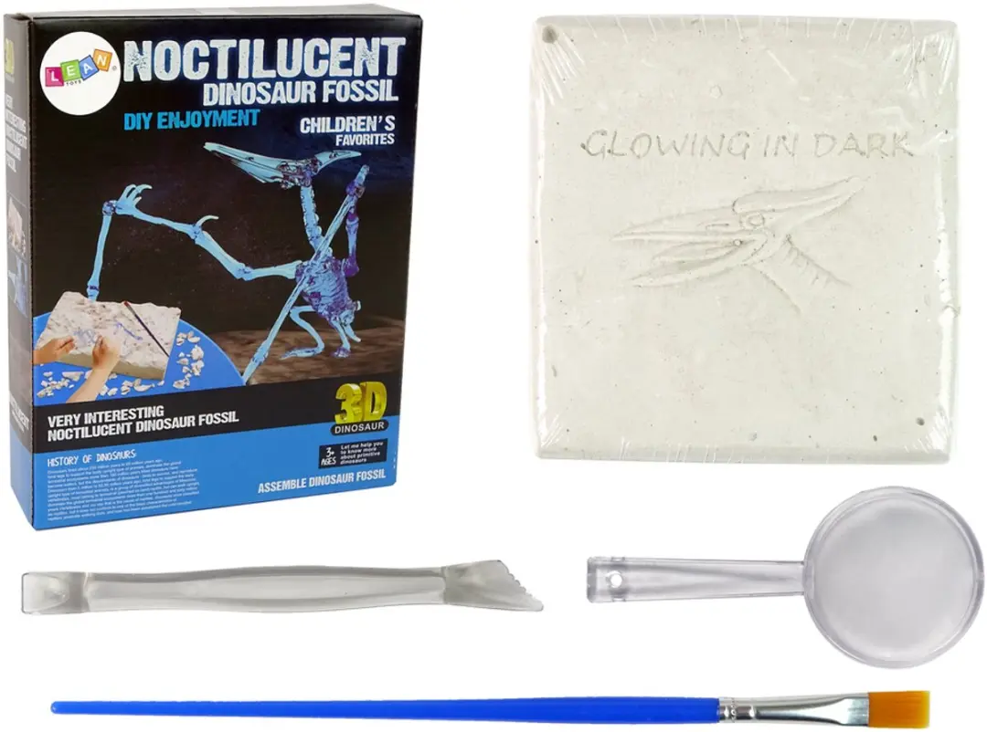 Lean Toys Opgravingskit Pteranodon Dinosaurusskelet - afbeelding 2 van 2