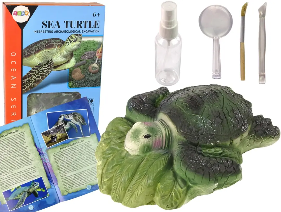Lean Toys Educatieve Opgravingsset Ammonietschildpadden