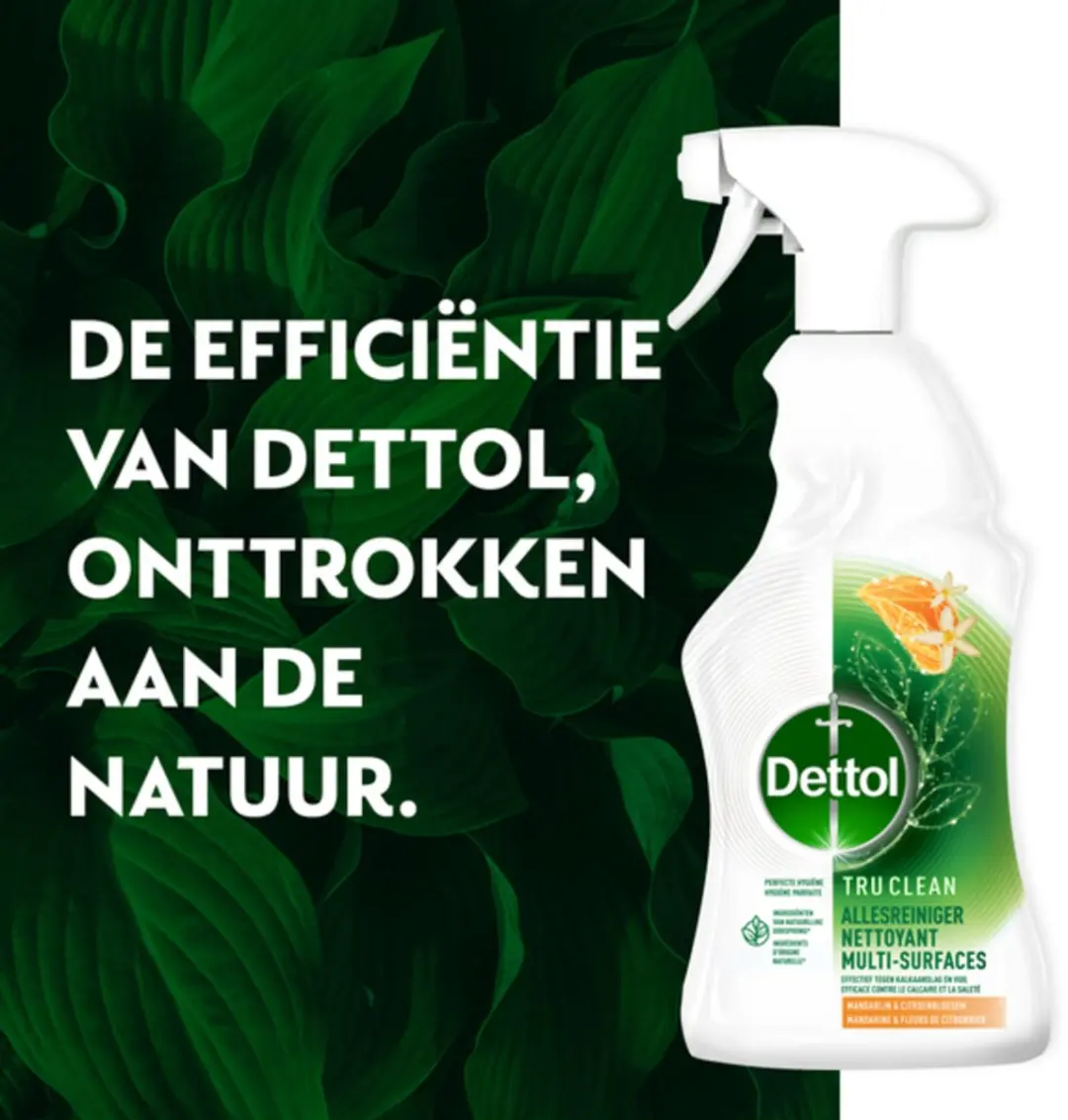 Dettol Allesreiniger Spray Tru Clean Mandarijn & Citroenbloesem - 500ml - afbeelding 6 van 6