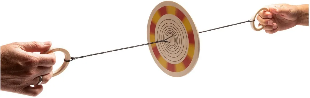 BS Toys Kleurenspinner Hout - 18cm - Multikleur