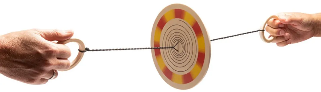 BS Toys Kleurenspinner Hout - 18cm - Multikleur - afbeelding 6 van 6
