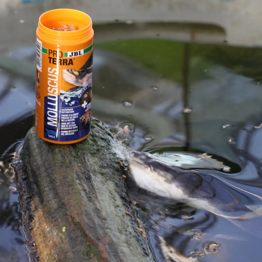JBL ProTerra Molluscus Opruiming 1000ml