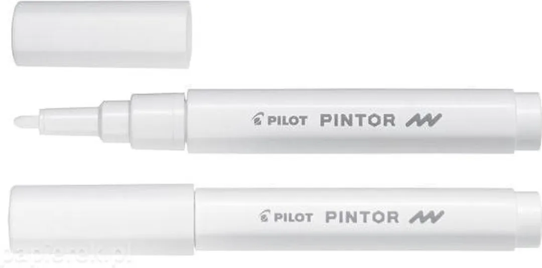Pilot Pintor Witte Verfstift Fine 1.0mm