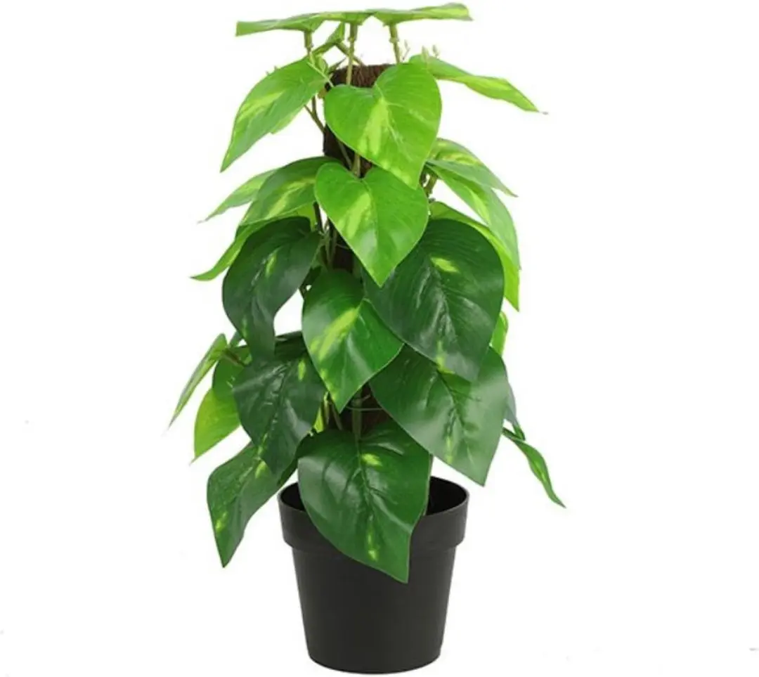 Countryfield Kunstplant Epipremnum groen 35 cm