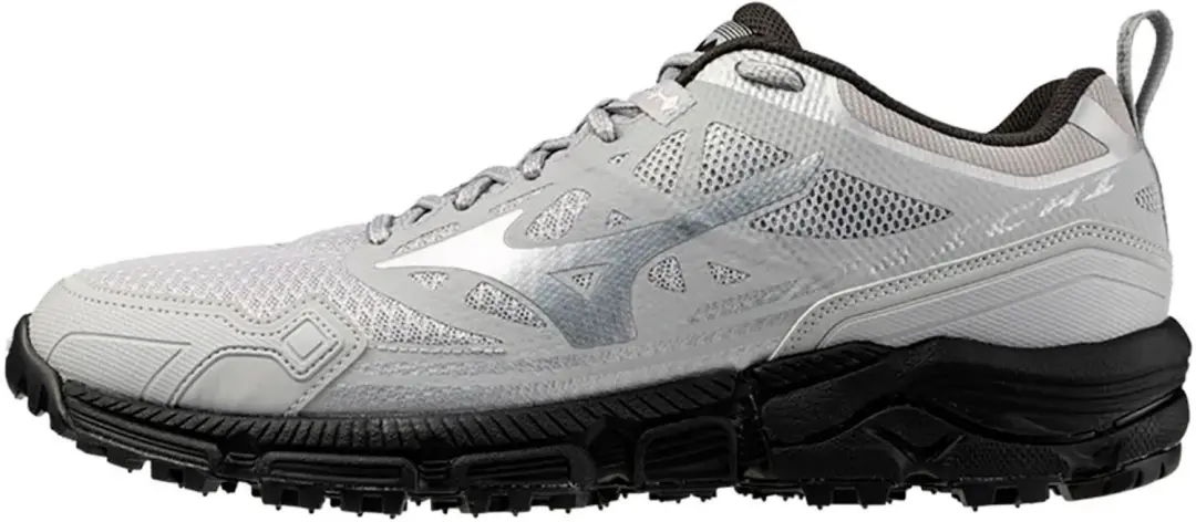 Mizuno Wave Daichi Ls Wandelschoenen Grijs EU 43