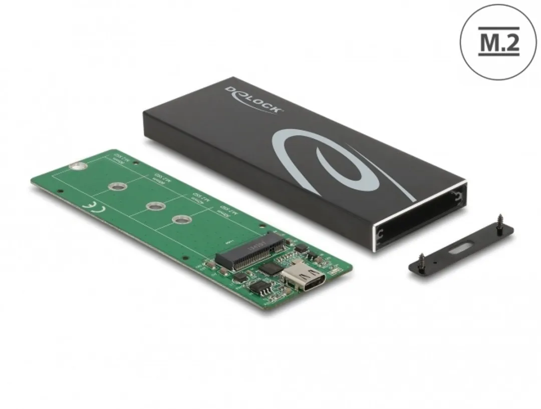 Delock 42003 Externe M.2 SATA SSD-behuizing