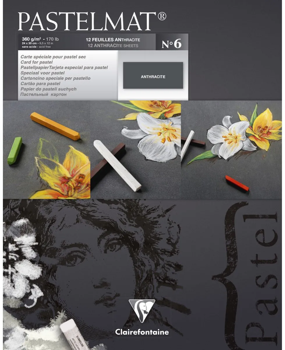 Clairefontaine Pastelmat Nr 6 Antraciet - 12 Vel 360g