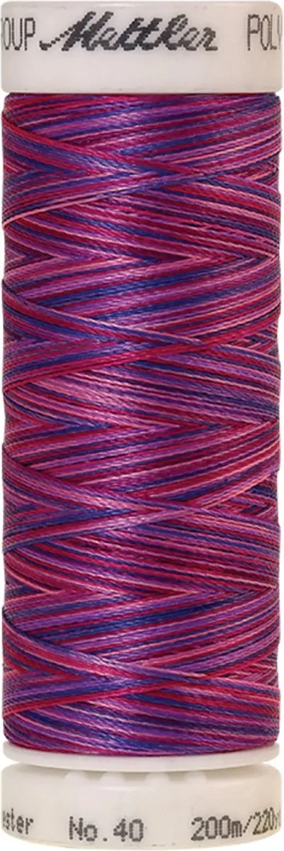 Amann Mettler Poly Multi Borduurgaren 9973 - 200m - Multicolor