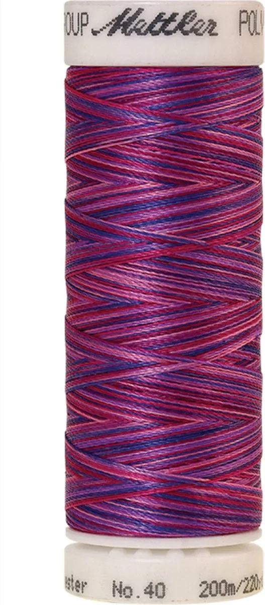 Amann Mettler Poly Multi Borduurgaren 9973