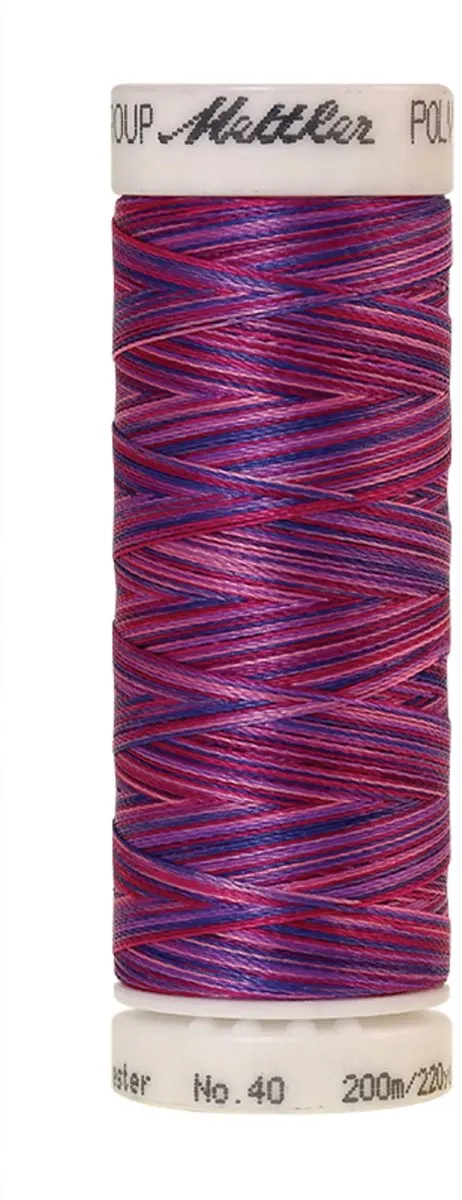 Amann Mettler Poly Multi Borduurgaren 9973 - 200m - Multicolor