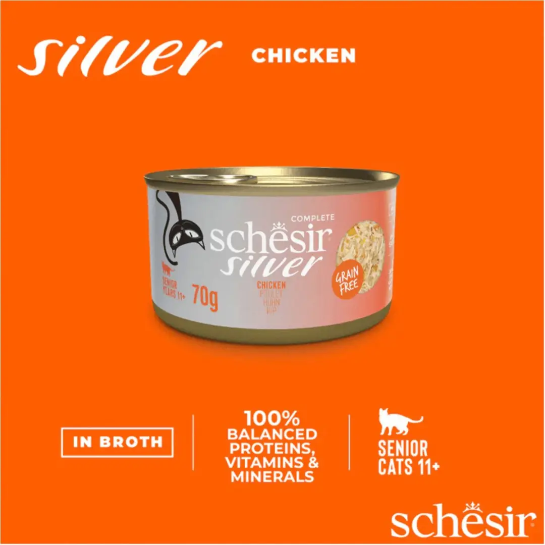 Schesir Silver Senior Kip Natvoer voor Katten - 70g - afbeelding 4 van 4