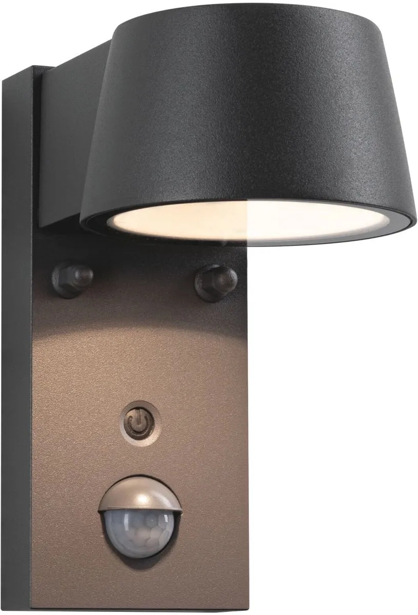 Paulmann Capea LED Wandarmatuur Antraciet 6W 450lm