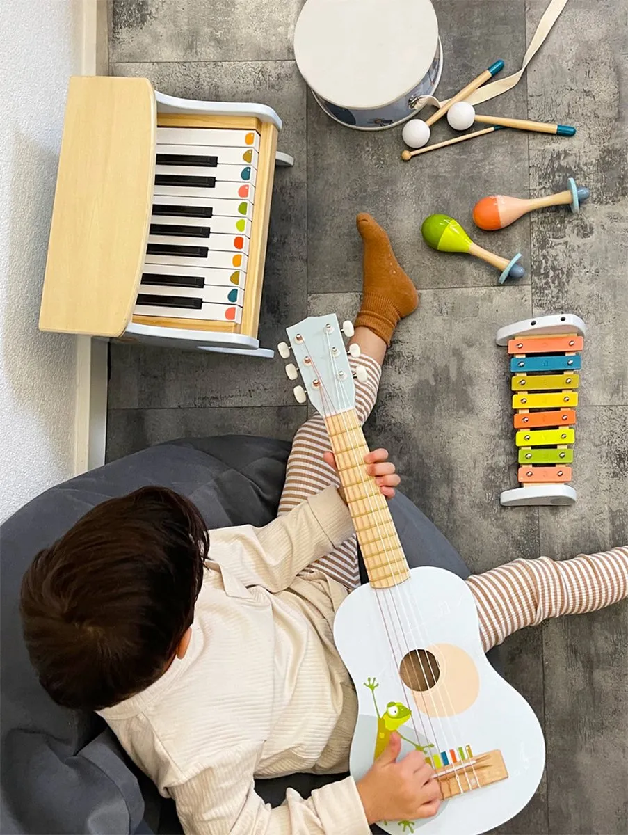 Small Foot Houten Maracas Groovy Beats 12251