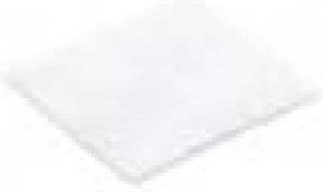 Nilfisk Extreme Voorfilter 1470157500