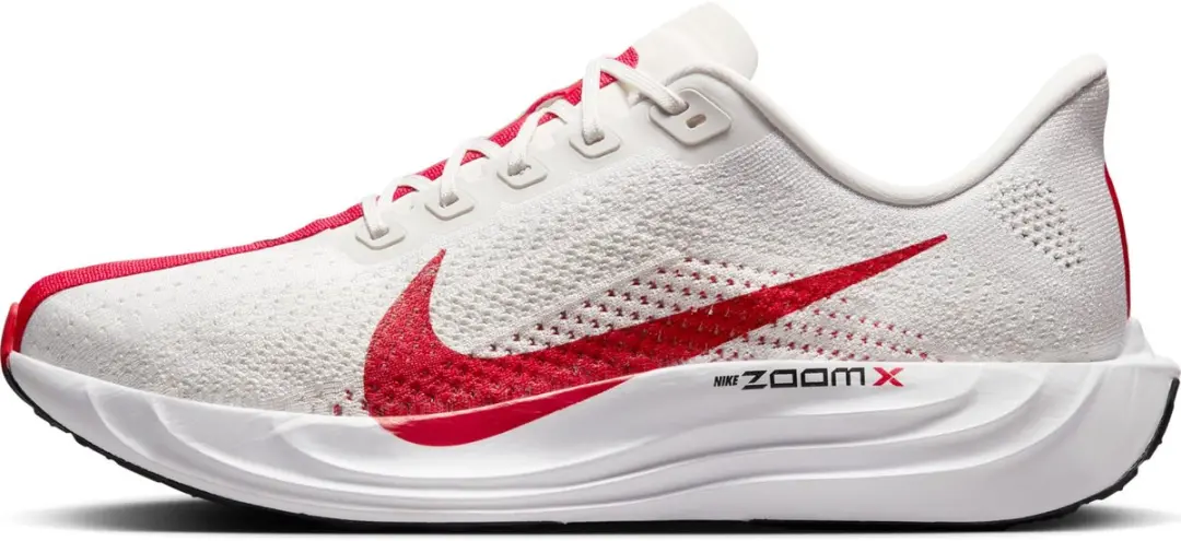 Nike Pegasus Plus