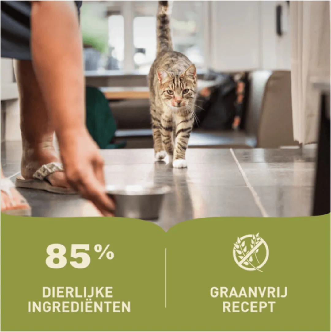 Acana Pâté Chicken Kattenvoer - 24x85g
