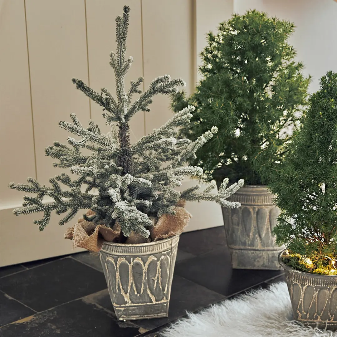 Loberon Sierboom Glenda - 46cm - Groen - afbeelding 2 van 6