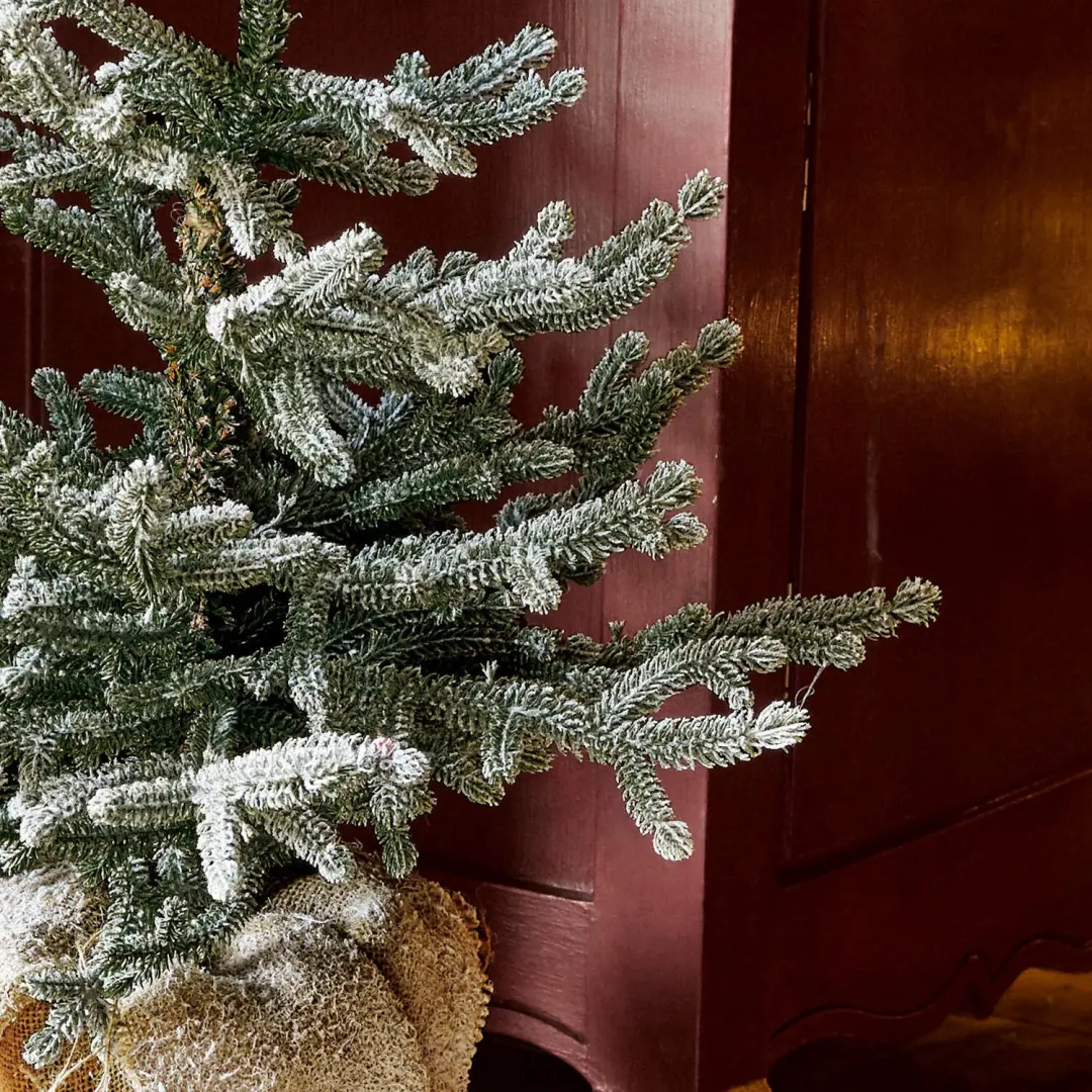 Loberon Sierboom Glenda - 46cm - Groen - afbeelding 5 van 6