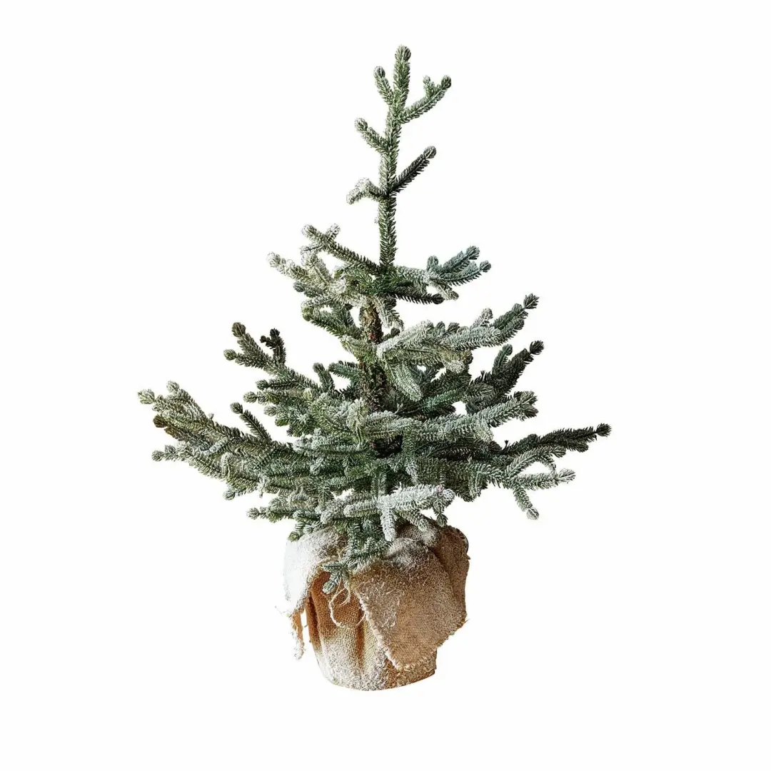 Loberon Sierboom Glenda - 46cm - Groen - afbeelding 3 van 6