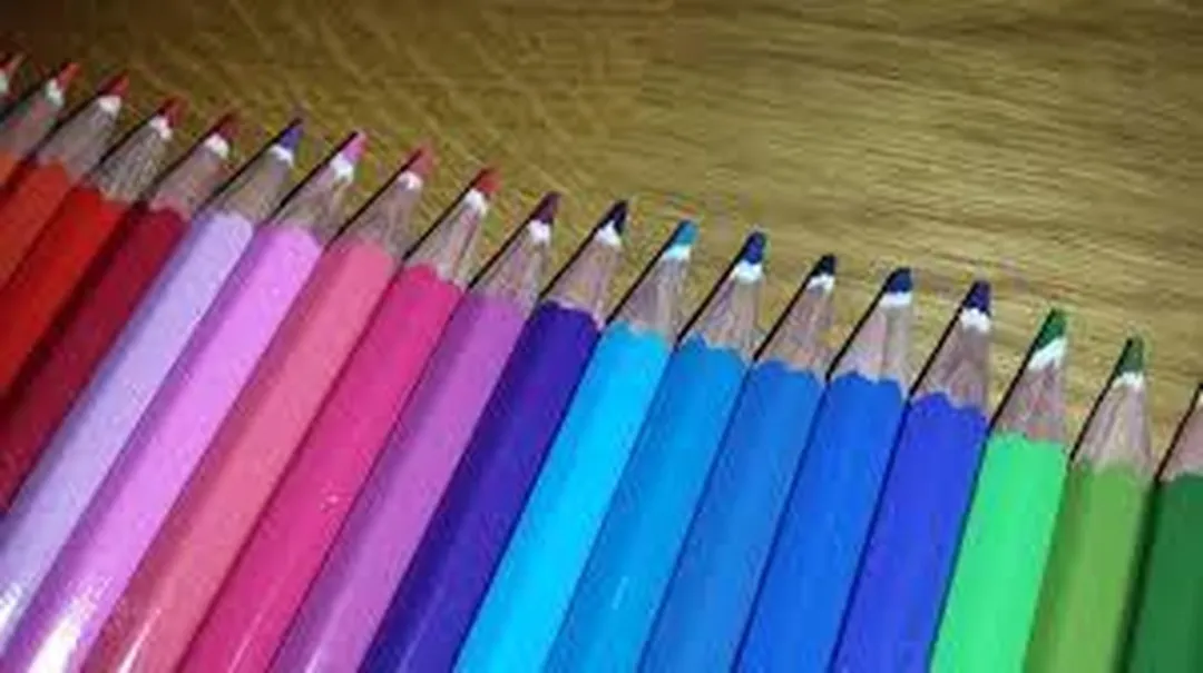 STAEDTLER Noris 24 Kleurpotloden - 24 Stuks - afbeelding 2 van 2