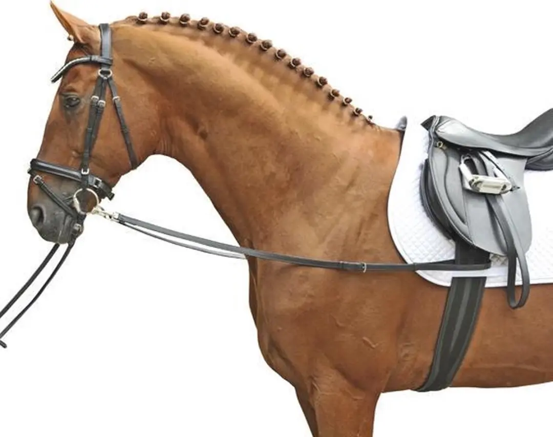Borsttuig zwart Pony