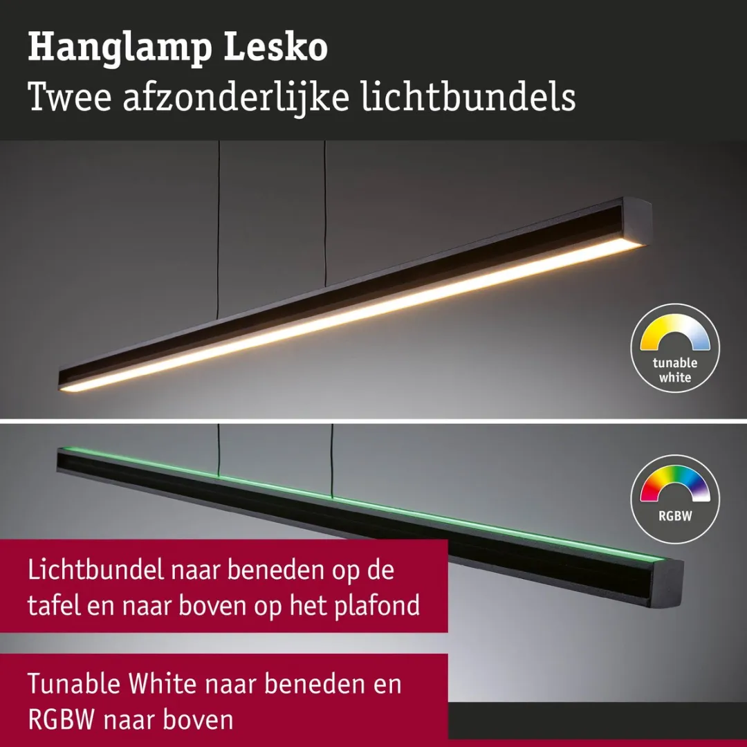 Paulmann Lesko LED Hanglamp RGBW+ 1400lm - Zwart mat