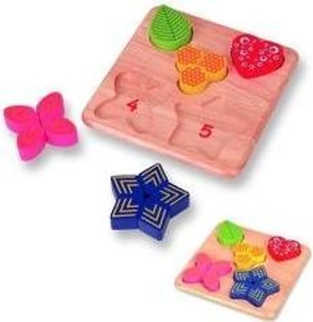 Pintoy Houten vormenpuzzel