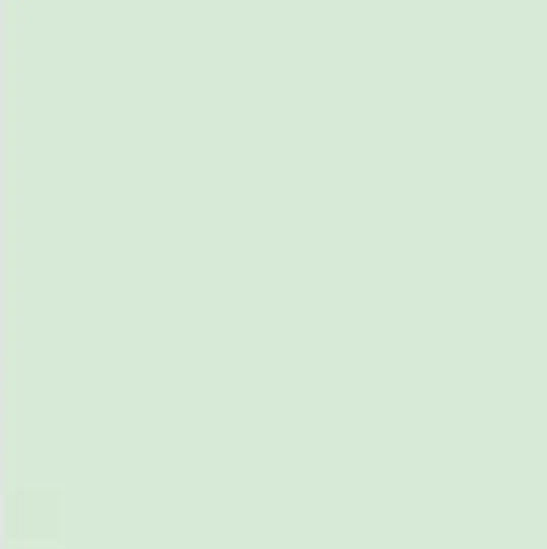 Quantore Gekleurd Papier A4 80gr Lichtgroen