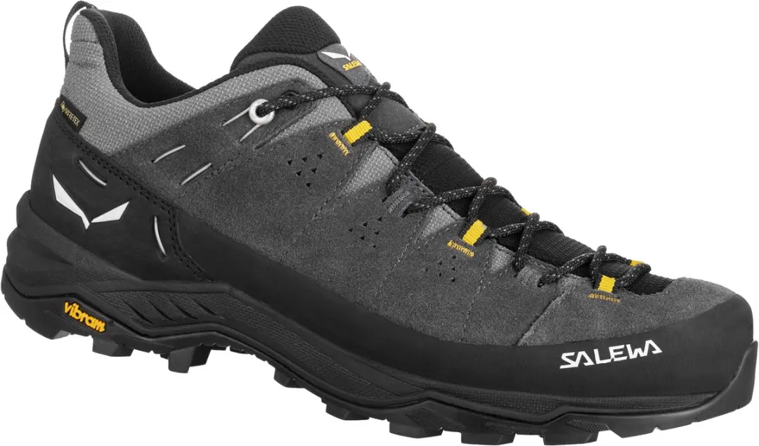 Salewa Alp Trainer 2 GTX Wandelschoenen