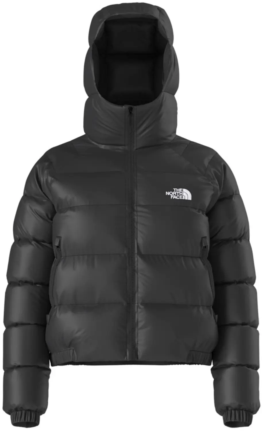 THE NORTH FACE W HYDRN DWN HOODIE Zwart XL EU