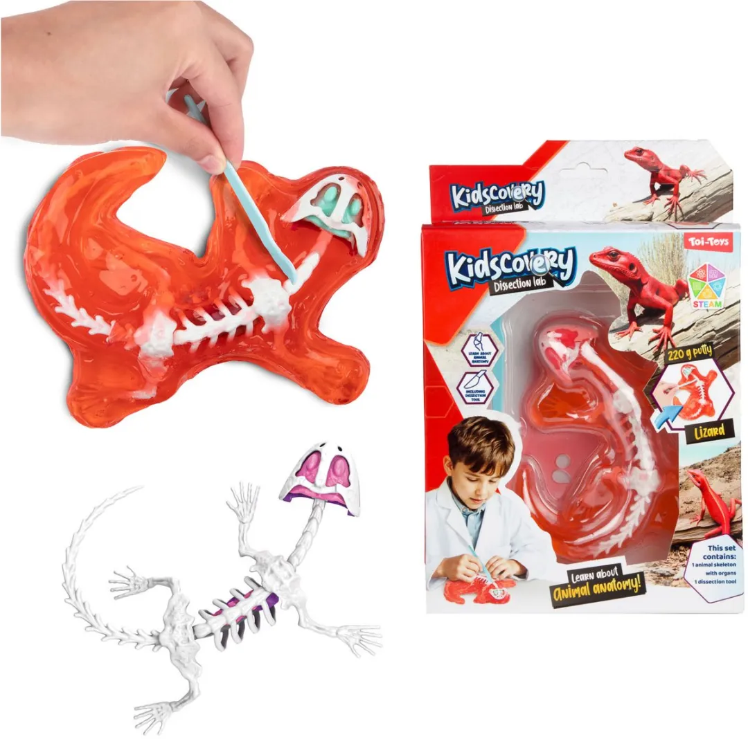 Toi-Toys Kidscovery Slijmskelet Dier - Multi kleuren